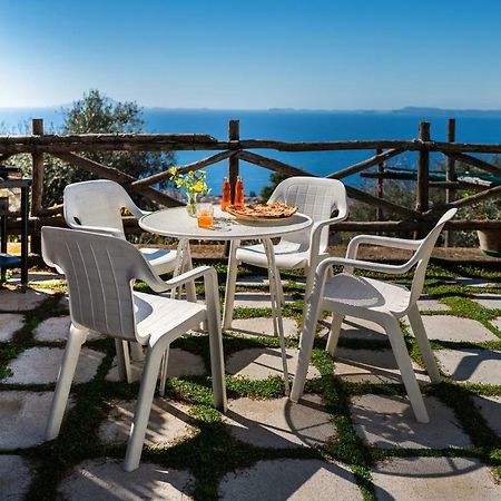 Casa Floriana Διαμέρισμα Vico Equense Εξωτερικό φωτογραφία