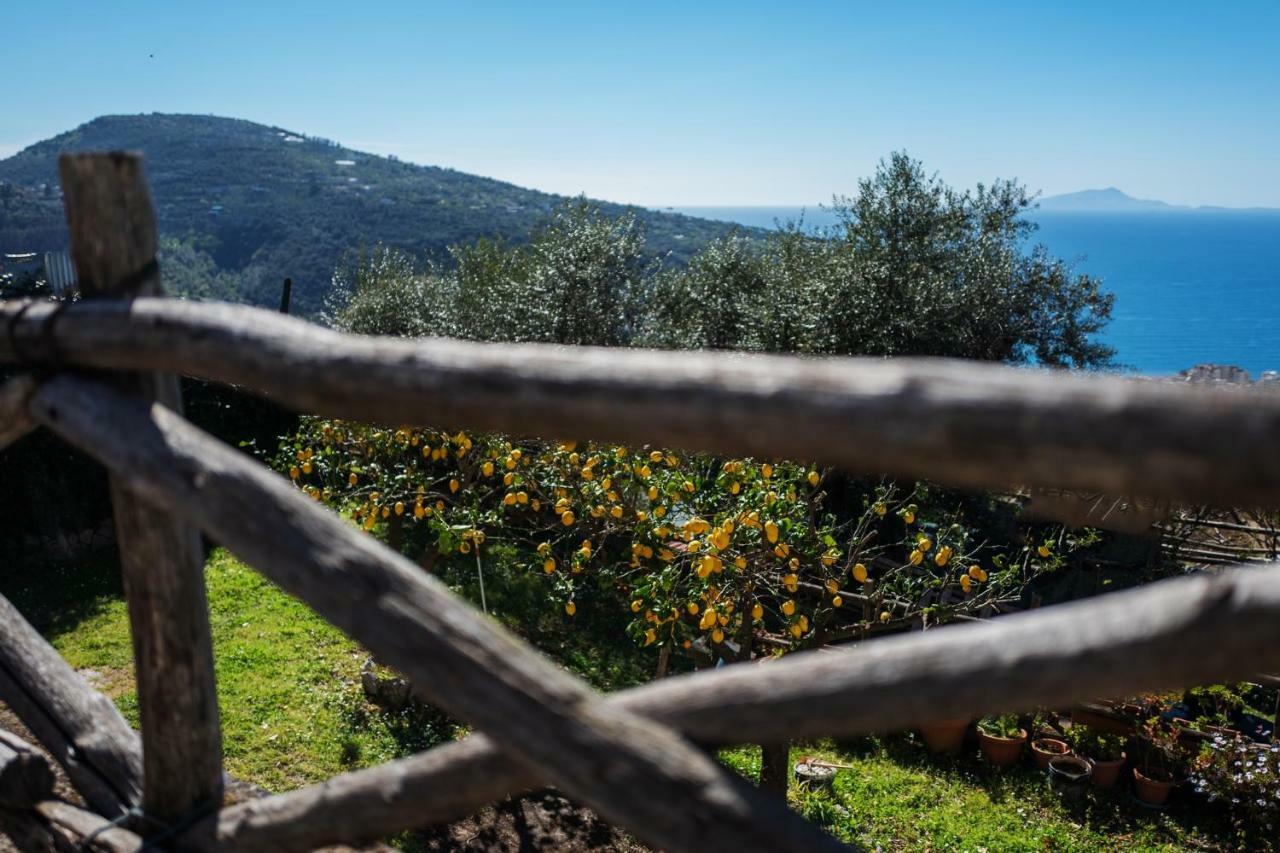 Casa Floriana Διαμέρισμα Vico Equense Εξωτερικό φωτογραφία